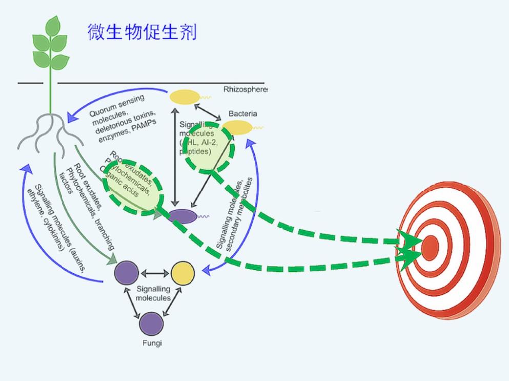 微生物促生剂