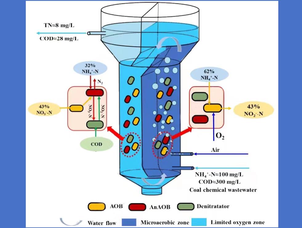 我公司生产的BOD-Q水质测定仪采集的BOD数据在国际期刊《Chemical Engineering Journal》上发表