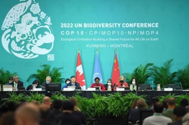 2020年后全球生物多样性框架”磋商取得积极进展（新华社）