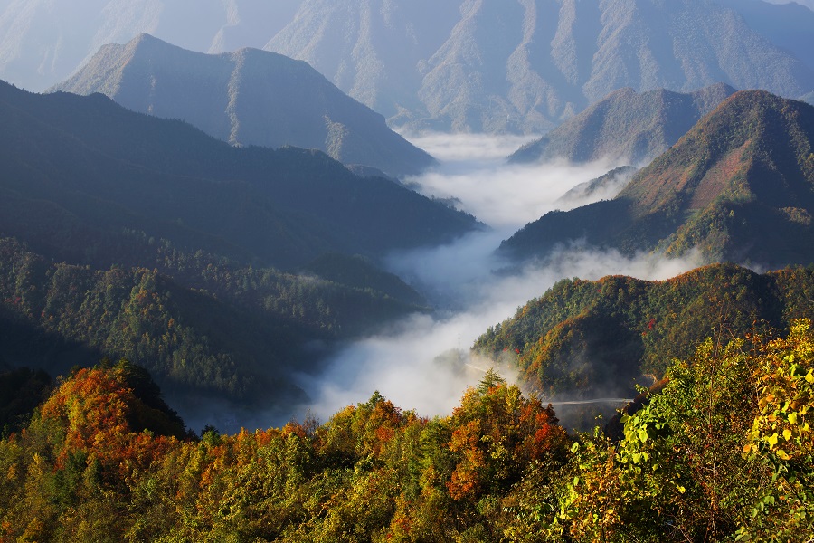 生态环境质量持续改善 重庆加快建设美丽中国先行区